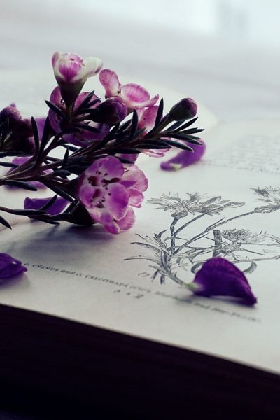 Reese Witherspoon's Book Club