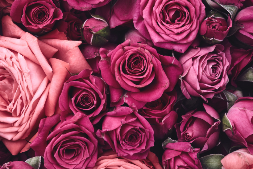 Valentine's Day Gifts