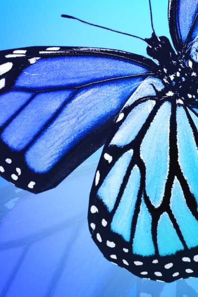 Mental Health Books For Women