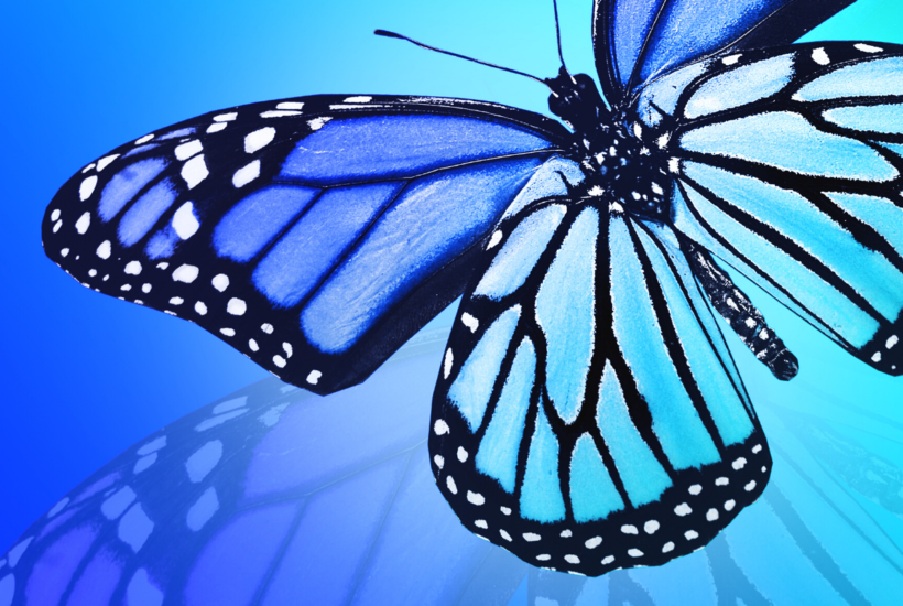 Mental Health Books For Women