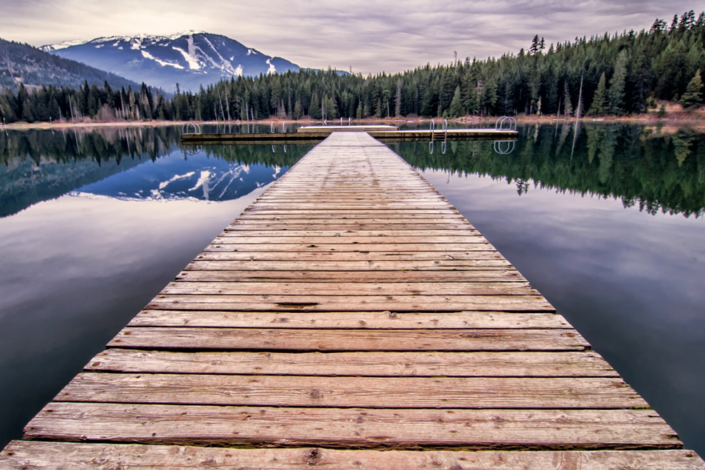 The Last Days of Summer