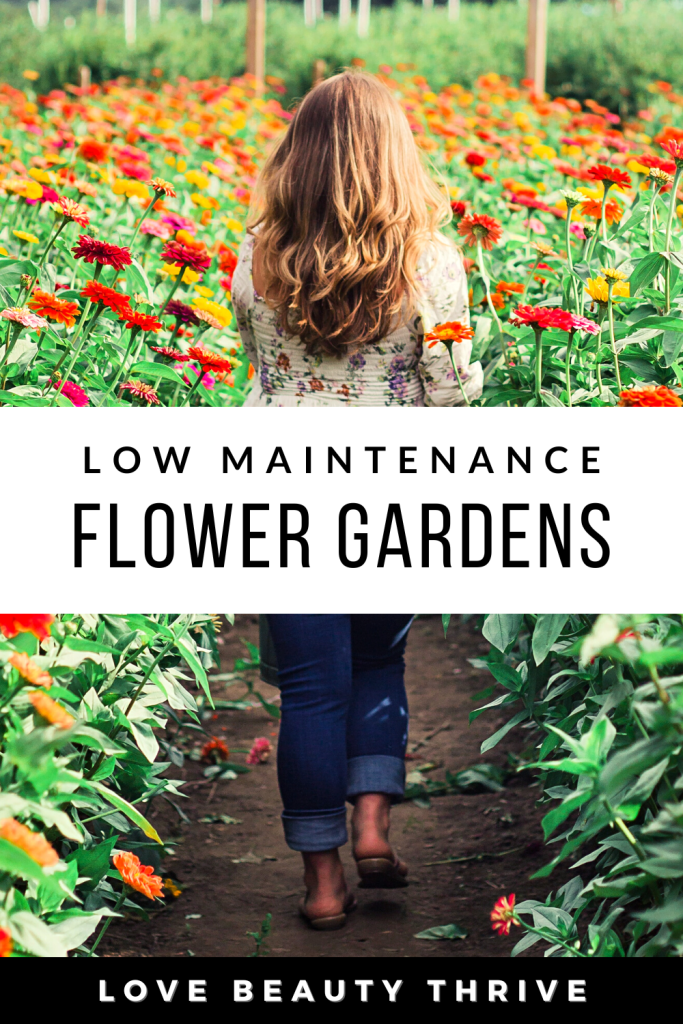 How to Create a Low Maintenance Flower Garden