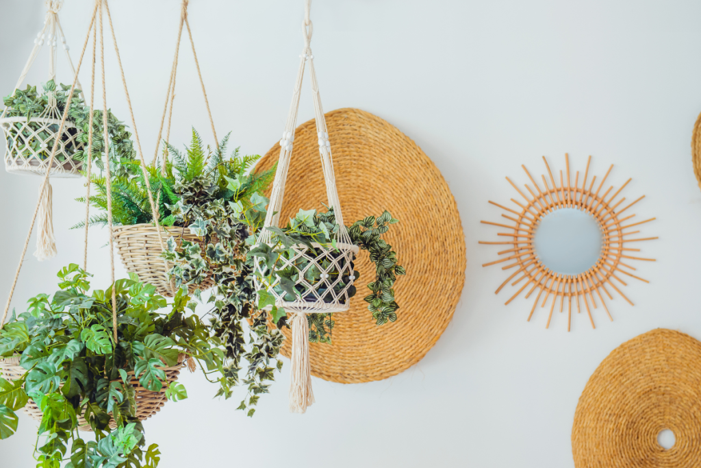 best hanging indoor plants for beginners
