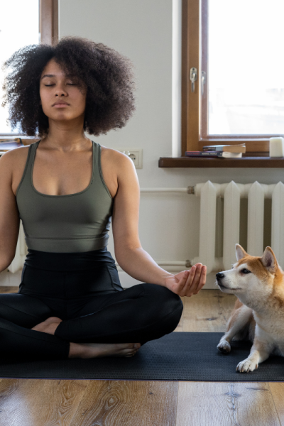 meditation for beginners